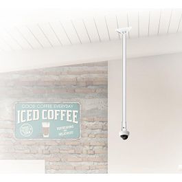 Stabilisateur de soutien B-Tech BT5921/W