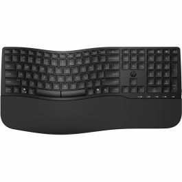 clavier et souris HP 8T6L9UT Noir