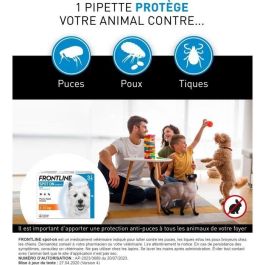 Frontline SPOT ON Pipetas Antiparasitarias pour Chiens 2 à 10 kg - Anti-puces, Tiques, Poux