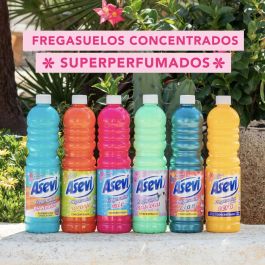 Nettoyant de Sols Asevi 1 L