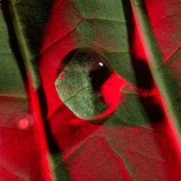 Clarins Lifting Total Des Yeux 15 mL