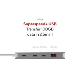 Hub USB Linq Byelements LQ49081PS Blanc Gris