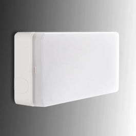 Esera Éclairage de Secours LED 60Lm 1 Heure IP44