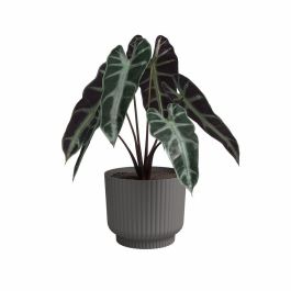 Pot de fleur - ARTEVASI - Miami Wavy - 30 cm - 13 L - Anthracite