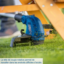 Scheppach Coupe-Bordure sans Fil C-LT300-X, Batterie 20V, Lame 30 cm, Kit avec 2 Batteries et Chargeur Double