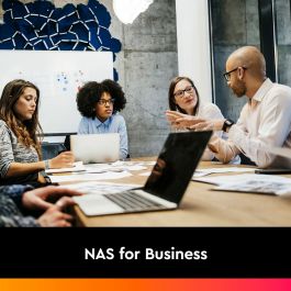 Disque dur Western Digital WD103KFBX 3,5" 10 TB