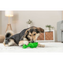 Jouet Distributeur de Friandises pour Animaux 2 en 1 Trixie Vert 18 cm Crocodile
