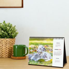Calendrier de bureau Finocam Multicouleur Papier 21 x 15 cm