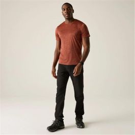 Pantalon de sport long Regatta Montorn Noir 13-14 Ans