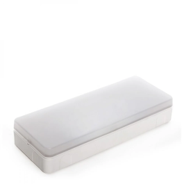 Esera Projecteur de Secours LED 100 Lm 1h IP44