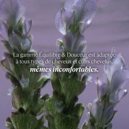 Après-shampooing L'Occitane En Provence AROMACOLOGÍA 250 ml