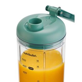 Bol mixeur Nutribullet NBP013GR Vert