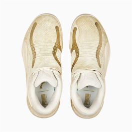 Chaussures de Basket-Ball pour Adultes Puma 378279 01 Beige