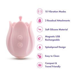 Masseur Blush Play with me Rose