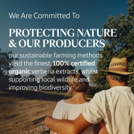 Lotion mains L'Occitane En Provence VERBENA 30 ml