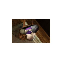 Aspirateur à clitoris We-Vibe Pourpre