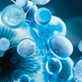 Biotherm Aquasource Hydra Barrier Nettoyant 150 mL