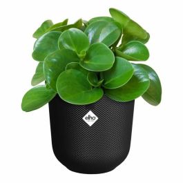 Elho Pot de Fleurs Jazz Redonda Noir Ø 26 x H 24 cm Intérieur 100% Recyclé ELH2942402643300