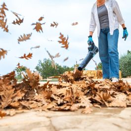 Souffleuse Cecotec AirForce 4000 Bazooka Turbo 600 W 20 V