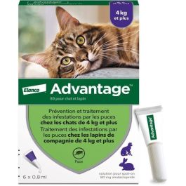 Advantage VENTAJA 80 - 6 pipettes antiparasitaires pour chats et lapins de 4 kg et plus