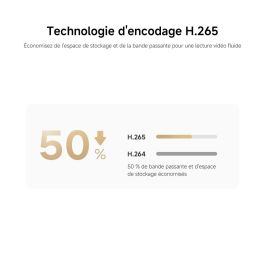 Camescope de surveillance Xiaomi BHR08NBGL 1080 p