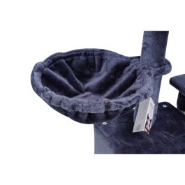 Arbre à chat Gloria Gambia