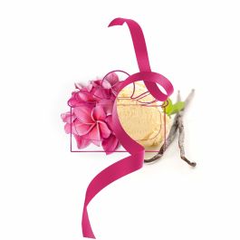 Parfum Unisexe Salvatore Ferragamo SIGNORINA