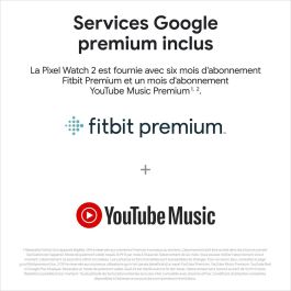 Montre intelligente Google Pixel Watch 2 Noir 1,2" 41 mm Ø 41 mm