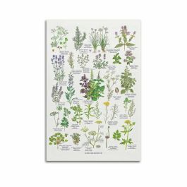 SAMSUNG Galaxy A56 256GB 8RAM 5G EU Gris clair