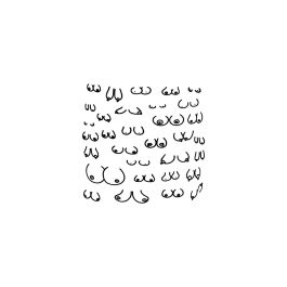 Dessous de verres Divertysex 10 Pièces Precio: 33.5000004. SKU: B1AREE9L6A