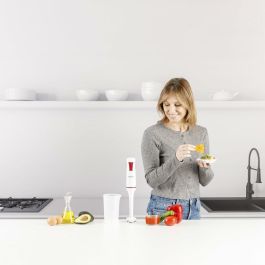 Mixeur plongeant Taurus ROBOT750