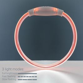 Collier à LED pour Animaux Petlux InnovaGoods
