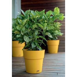 Stefanplast Pot de fleur Ethica 2 L 40 x 39 cm avec réserve d'eau couleur moutarde