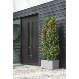 Elho Jardinière Vivo Next Long 60 Gris L 59 x B 30 x H 29 cm Interior/exterior 100% Recyclé ELH8711904499648