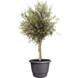 ELHO Amiga Rond 55 - Pot de fleur rond extérieur en matériaux recyclés - Noir - 55 L - Ø 55 x H 51 cm