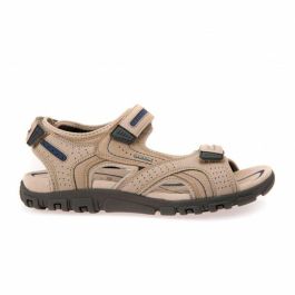 Sandales de montagne Geox Strada 9-12 Mois Precio: 63.9. SKU: B1B5LKS278
