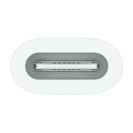 Apple Adaptateur USB-C pour Apple Pencil