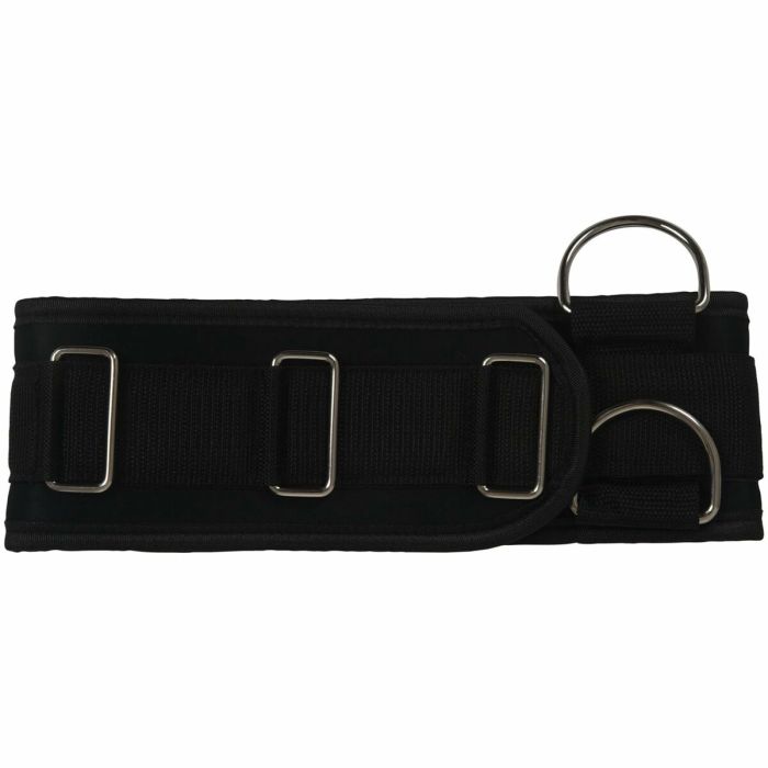 Powerbank Silicon Power CP10 10000 mAh Noir 1