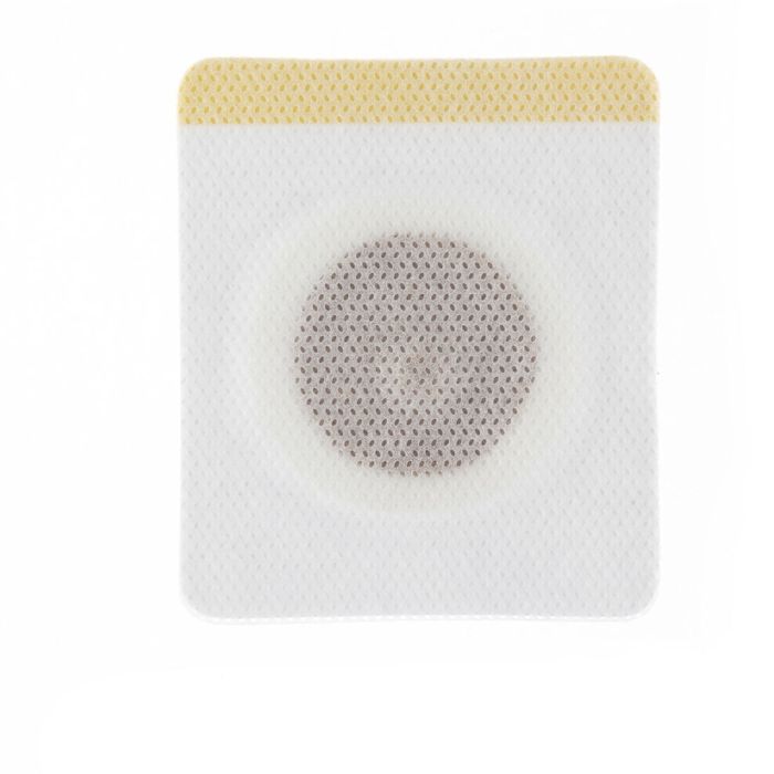 Set de Patchs Magnétiques Amincissants aux Extraits de Plantes Patmic InnovaGoods 30 Unités 2