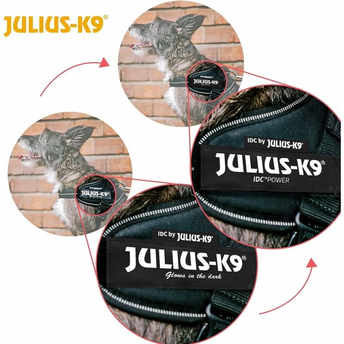 Harnais pour Chien Julius K9 IDC Noir 2 Baby 2 (XS/S) 2 Harnais pour Chien Julius K9 IDC Noir 2 Baby 2 (XS/S) 2