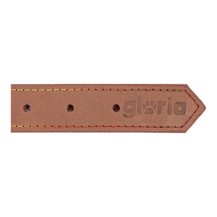 Collier pour Chien Gloria Oasis Marron (55 x 2,5 cm) 1