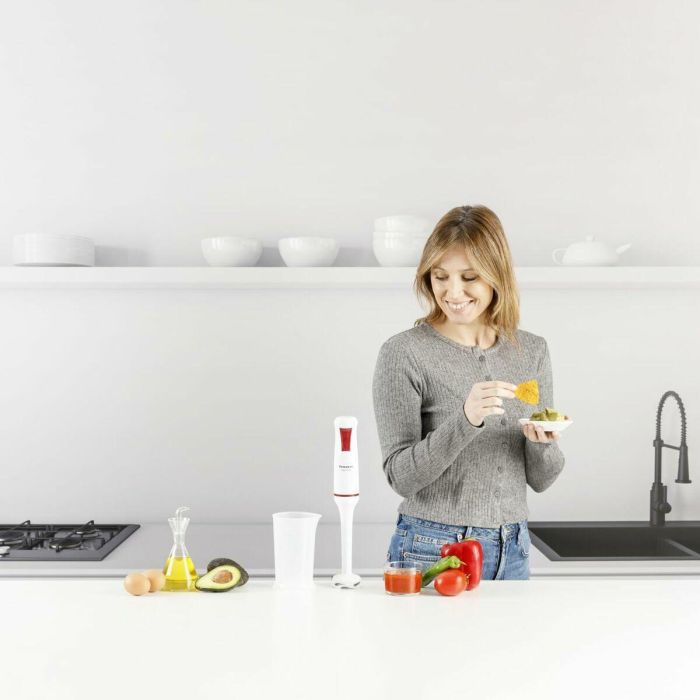 Mixeur plongeant Taurus ROBOT750 1