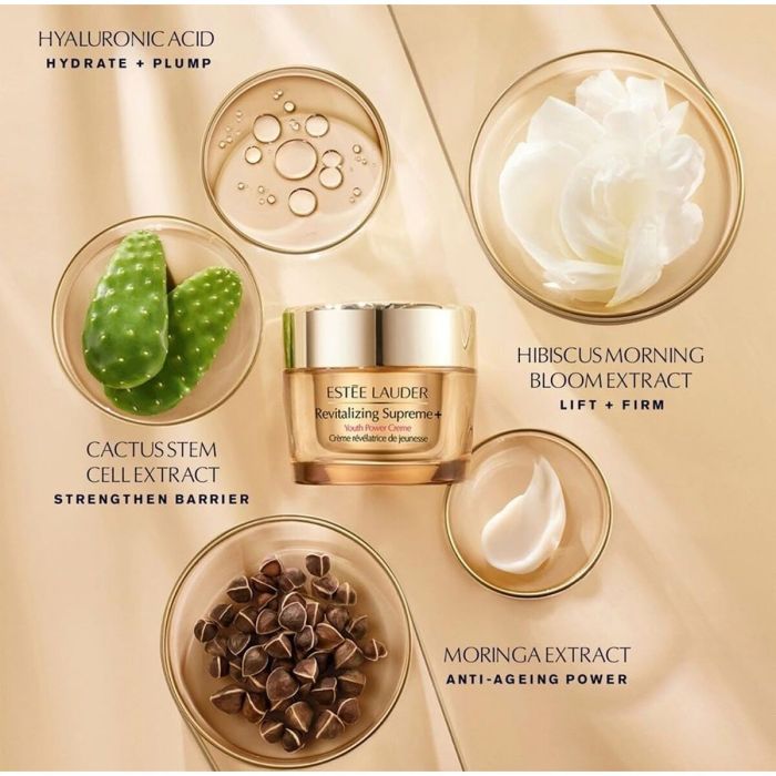 Set de Maquillage Estee Lauder RESILIENCE 4 Pièces 2