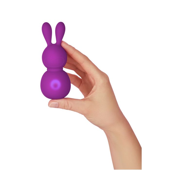 Mini Vibromasseur FemmeFunn Bunny Violet 2