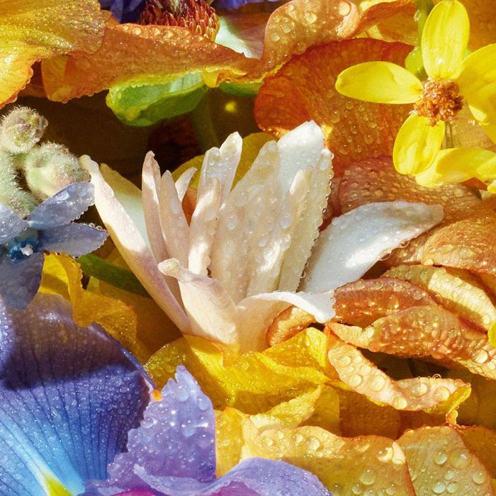 Guerlain Crème Pour Les Mains Aqua Allegoria Florabloom 50 mL 3