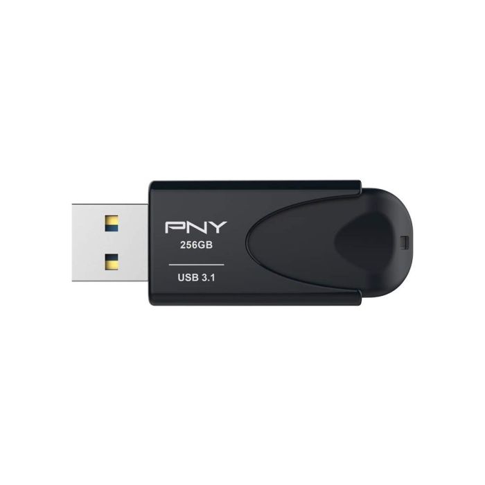 Mémoire RAM PNY Attache 4 Noir 256 GB 11