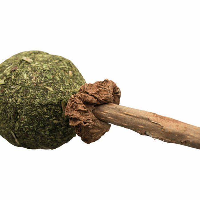 Collation pour Chat Trixie Catnip/Matatabi 1