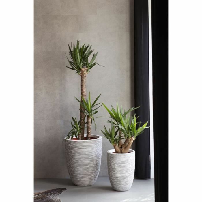 Cache-pot Capi Europe Ivoire Plastique 34 x 34 x 36 cm 1