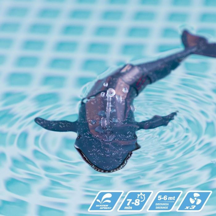 Jeu Colorbaby Racing Boat Télécommandé Baleine 4 Jeu Colorbaby Racing Boat Télécommandé Baleine 4