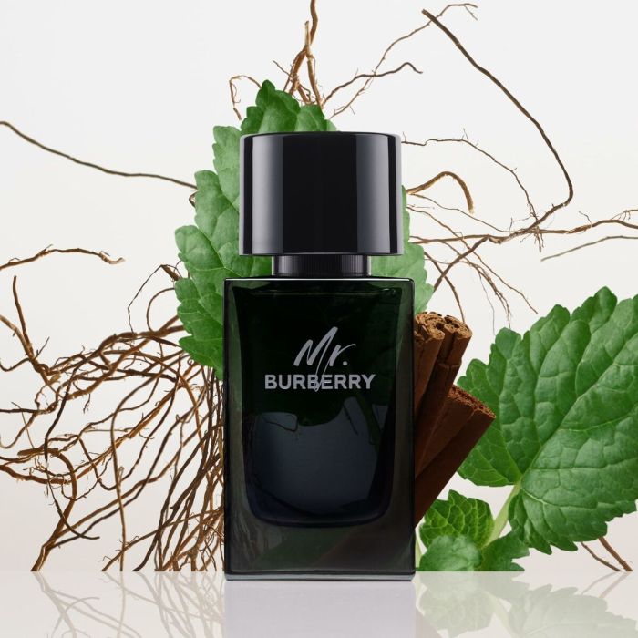 Parfum Homme Burberry Mr. Burberry 100 ml 5